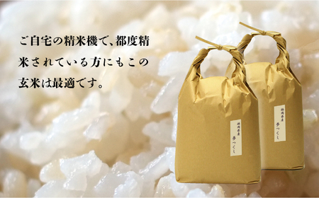 福岡の食卓ではおなじみの人気のお米「夢つくし」5kg×2袋 [10kg] [玄米] [ABDF034]
