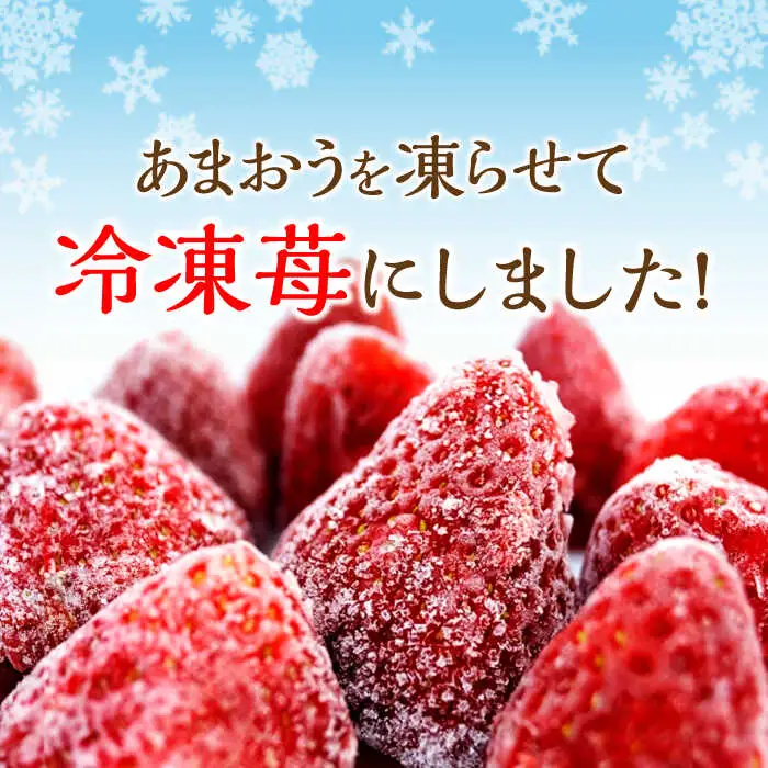 いちご 福岡県産 約500g×2袋 合計約1kg [ABDG005] 果物 あまおう