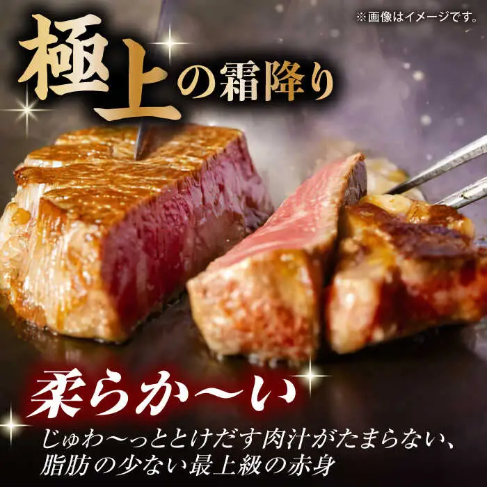 【12回定期便】くまもと黒毛和牛 ヒレステーキ 計1500g（10枚）【馬刺しの郷 民守】 熊本 和牛 ステーキ ヒレ  [ZBL112]