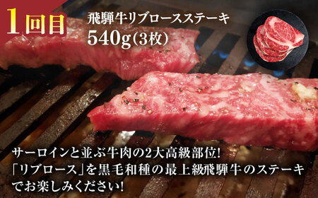 うなぎと飛騨牛と日本酒 贅沢 定期便 [TDA018] 鰻