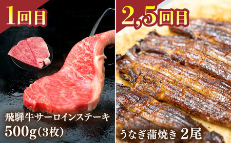 うなぎと飛騨牛と日本酒 贅沢 定期便 [TDA019] ステーキ