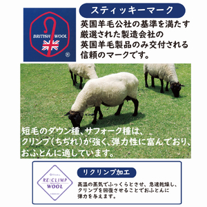 綿100%生地使用 英国羊毛100%わた入り敷パッド シングル 【ブルー系　柄おまかせ】 K042203W20SB｜羊毛敷パッド 冬 あったか 夏 心地よい 保温 吸湿 発散性 [4304]