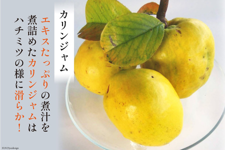 手作りジャム (カリン＆ 白イチジク 150ml×各2 計4個) & カリン茶 80g セット