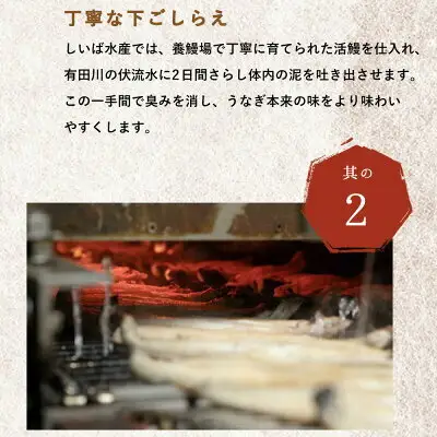うなぎ蒲焼 4尾 & 蒲焼タレ 2本 セット 国産 安全 ふっくら うなぎ 特製 タレ 土用 丑の日 こだわり 蒲焼き 贈答 贈り物 ギフト 急速冷凍 うな丼 うな重 う巻き ひつまぶし うなむすび 濃厚 冷凍 しいば水産 角長 お取り寄せ 和歌山県 湯浅町 送料無料_BC6007