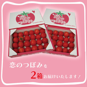 【先行予約】【2026年11月より順次発送】JA　恋のつぼみ(フルーツトマト2箱)｜トマト フルーツトマト 恋のつぼみ 先行予約 野菜 茨城県 行方市(AE-6)