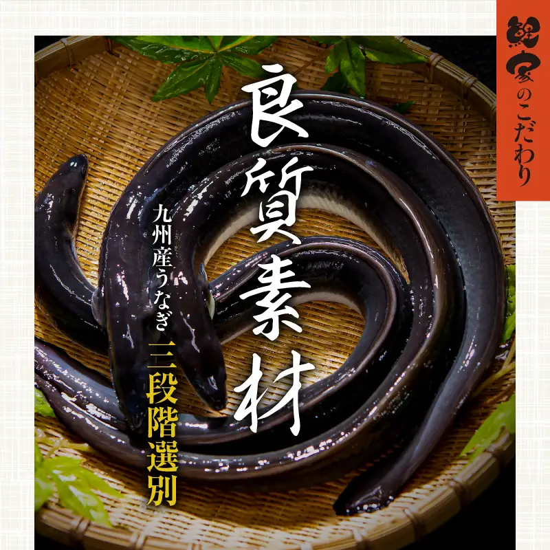 1721-2 【定期（全6回）】大人気！鯉家の極上蒲焼「大トロうなぎ（4尾）」【国産・手焼き備長炭】 KN040-T02 魚 冷凍 鰻