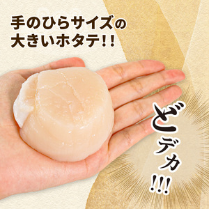 ホタテ貝柱 冷凍 250g ほたて 帆立 貝柱 貝 海鮮 魚貝類 魚介類 ホタテバター 醤油 バター お刺身 刺身 さしみ ご飯 おかず 三陸産 岩手県 大船渡市