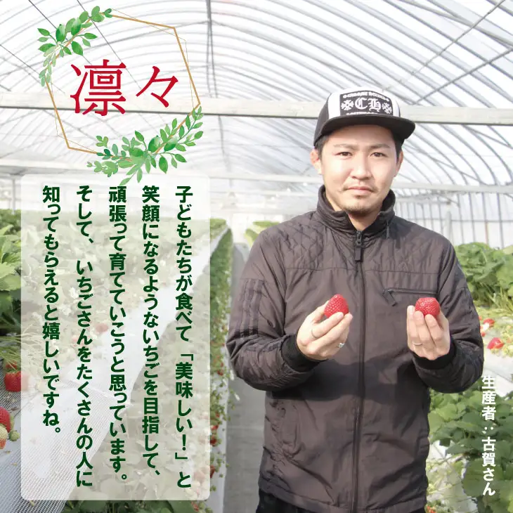 【先行予約】R9年1月中旬頃出荷開始 佐賀県産いちご 天使のいちご 240g X 2パック いちご 果物 B120-065