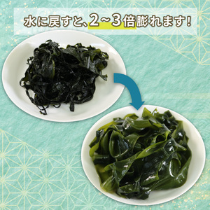 塩蔵わかめ 120g 5袋 わかめ 塩蔵 海鮮 海藻 魚貝類 魚介類 小分け みそ汁 スープ 酢の物 岩手県 大船渡市