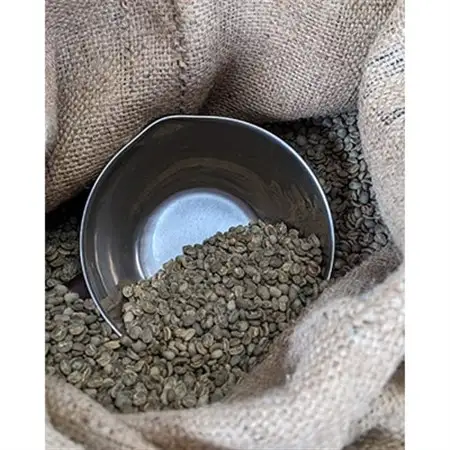 【毎月定期便】お楽しみ　厳選珈琲豆100g(豆のまま)×2種類セット全3回【4004562】