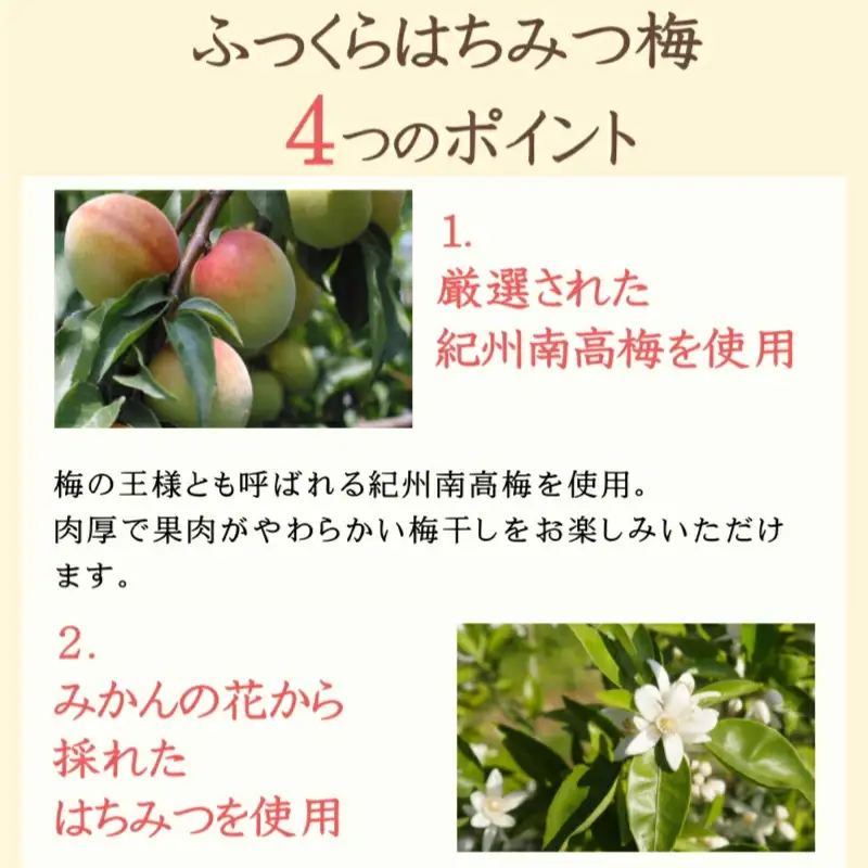 梅干し ふっくらはちみつ梅 計750g（約250g×3個） 【kfo011-1】