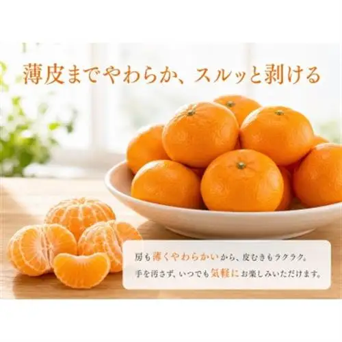 赤秀品　紀州和歌山ハウスみかん2.5kg【日高町】【1216957】