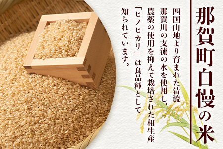 【お米の定期便12回】那賀町のお米 ヒノヒカリ (玄米)10kg×12回 計120kg【徳島県 那賀町 相生 国産 玄米 ヒノヒカリ 10kg 10キロ 120kg 120キロ 産地直送】YS-26
