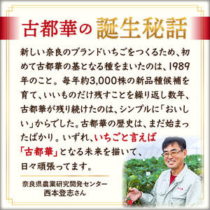 いちご【2026年1月～発送開始・数量限定】古都華いちごプレミアム I-275