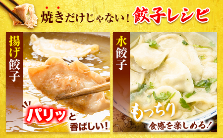 餃子 一口餃子 ひとくち 博多和牛 冷凍 25個 × 5パック 125個 清柳食産《30日以内に出荷予定(土日祝除く)》九州産 牛 肉  冷凍
