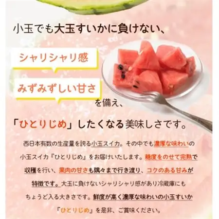 【2027年6月中旬より順次発送予定】紀州和歌山産小玉スイカ「ひとりじめ」2玉【1421261】
