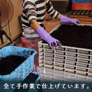 【ひじき】【家庭用】【瀬戸内産】寒ひじき100g 愛媛県 松山市【OG0023】