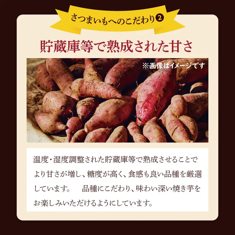 冷凍焼きいも 紅はるか 1kg 500g×2パック 焼き芋 やきいも 冷やし焼き芋 さつまいも サツマイモ 茨城県産 べにはるか 茨城県大洗町 大洗町 スイーツ_DP001