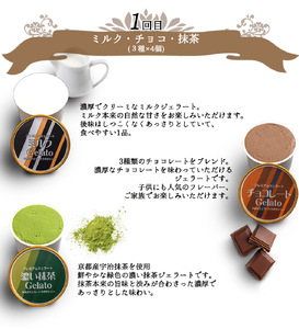 【定期便 全3回 毎月お届け】 和歌山のプレミアムジェラート_V20-T07