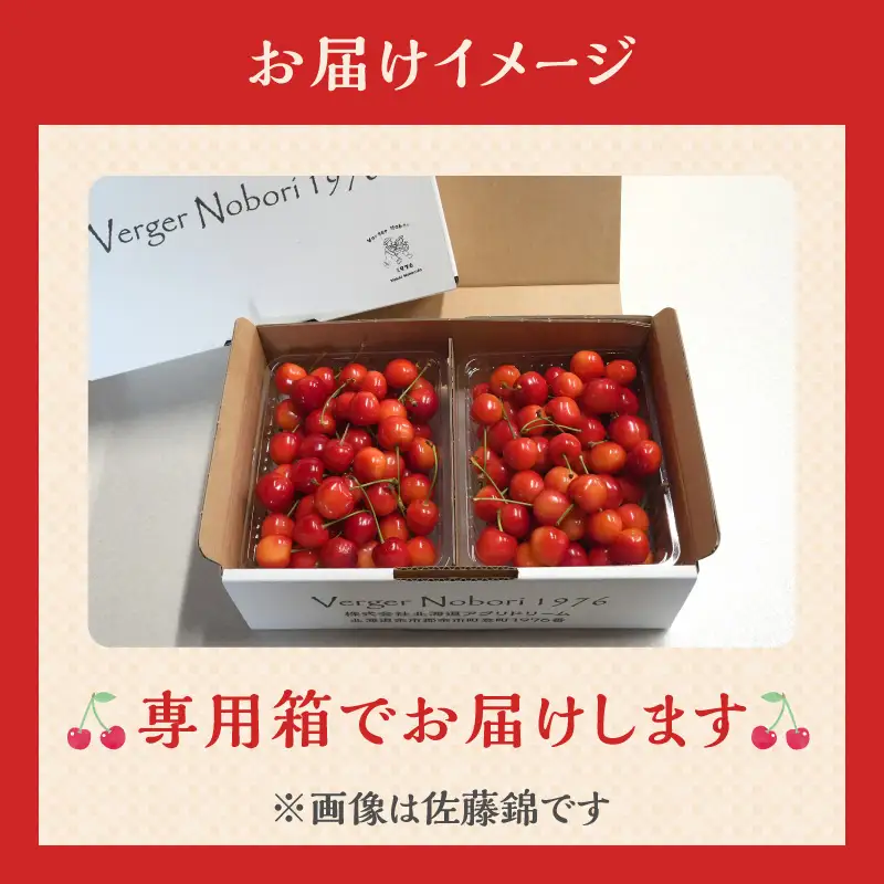 【2027年産 先行予約】＜北海道余市産＞さくらんぼ「紅秀峰」（M～2Lサイズバラ詰め）400g×2パック_Y103-0068
