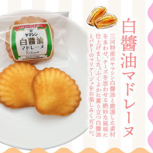 三河物語 三英傑セット～碧南が発祥の白醤油、三英傑が愛した西尾の抹茶、徳川家康お膝元の八丁味噌を使ったマドレーヌの味くらべセット～18個入り H043-017