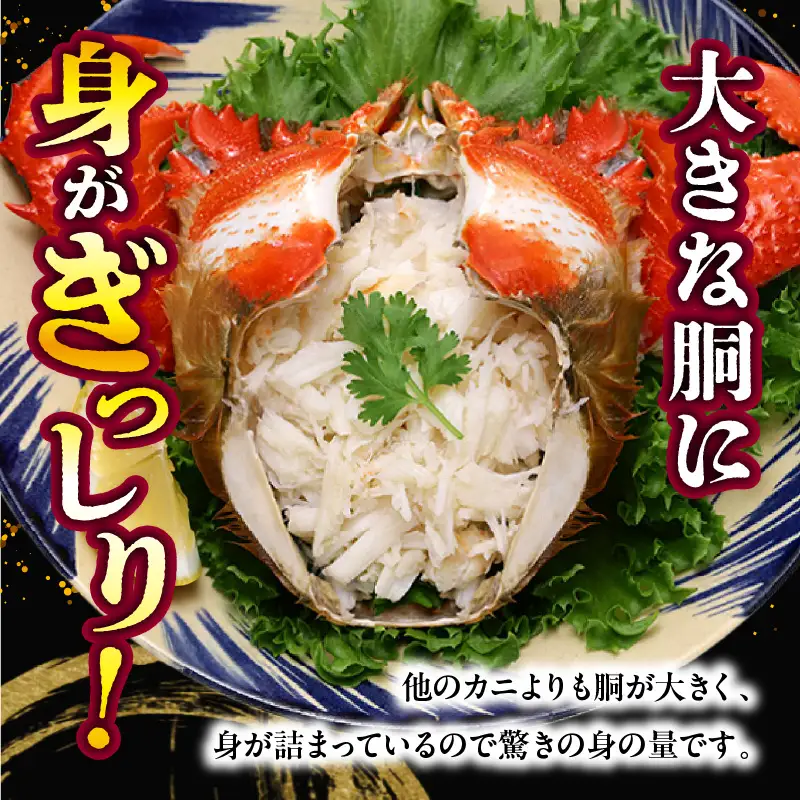 【先行予約】＜2026年11月より順次発送予定＞宮崎県串間市産 アサヒガニ500g 国産 海鮮 カニ_K027-014-01