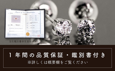ダイヤ pt900 ダイヤモンド ピアス 0.10ct 鑑別書 保証書 ケース 付 ジュエリー アクセサリー ダイヤピアス 宝石 プラチナ ギフト プレゼント 贈り物 記念日 お祝い 誕生日 人気 高級 山梨県 西桂町【n0480_liz_C】