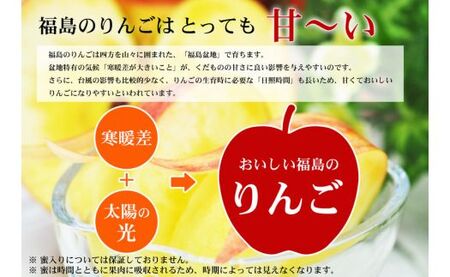 No.2770 ふくしまのサンふじりんご　約1kg 【2026年度発送】