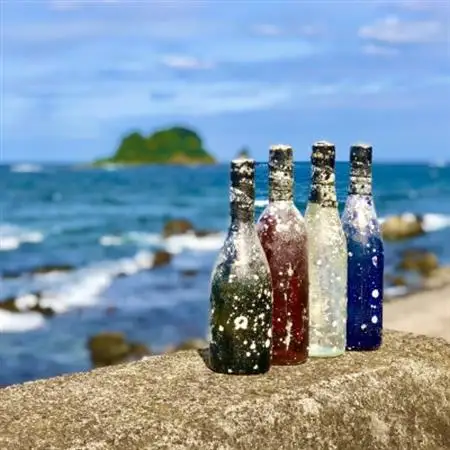 赤ワイン潜酔酒(カベルネソービニオン)_酒・アルコール 赤ワイン ワイン _【1380225】