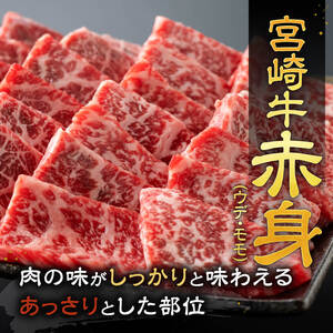 【令和8年10月発送】宮崎牛赤身焼肉 800g (400g×2)【肉 牛肉 国産 宮崎県産 宮崎牛 黒毛和牛 和牛 焼肉 BBQ 4等級  A4ランク ウデ モモ E11120】