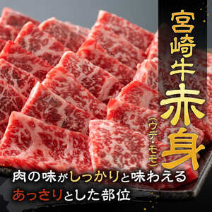 【令和8年10月発送】宮崎牛赤身霜降り焼肉2種 800g【肉 牛肉 国産 宮崎県産 宮崎牛 黒毛和牛 和牛 焼肉 BBQ 4等級  A4ランク 肩ロース ウデ モモ E11124】