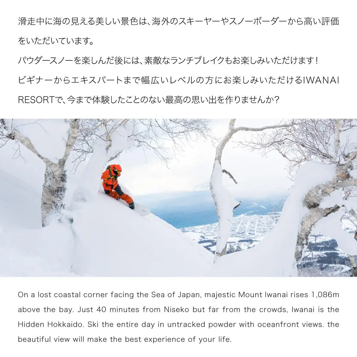 IWANAI RESORT【Cat tour】ticket 1名様  F21H-416