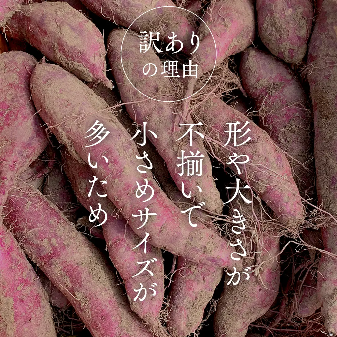 【 訳あり 】 さつまいも ！ 紅はるか 10kg サツマイモ 芋 いも べにはるか