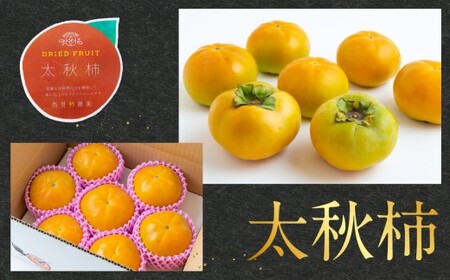 【先行予約】柿 太秋柿 特選 約3kg 7玉～8玉 西見柿農園