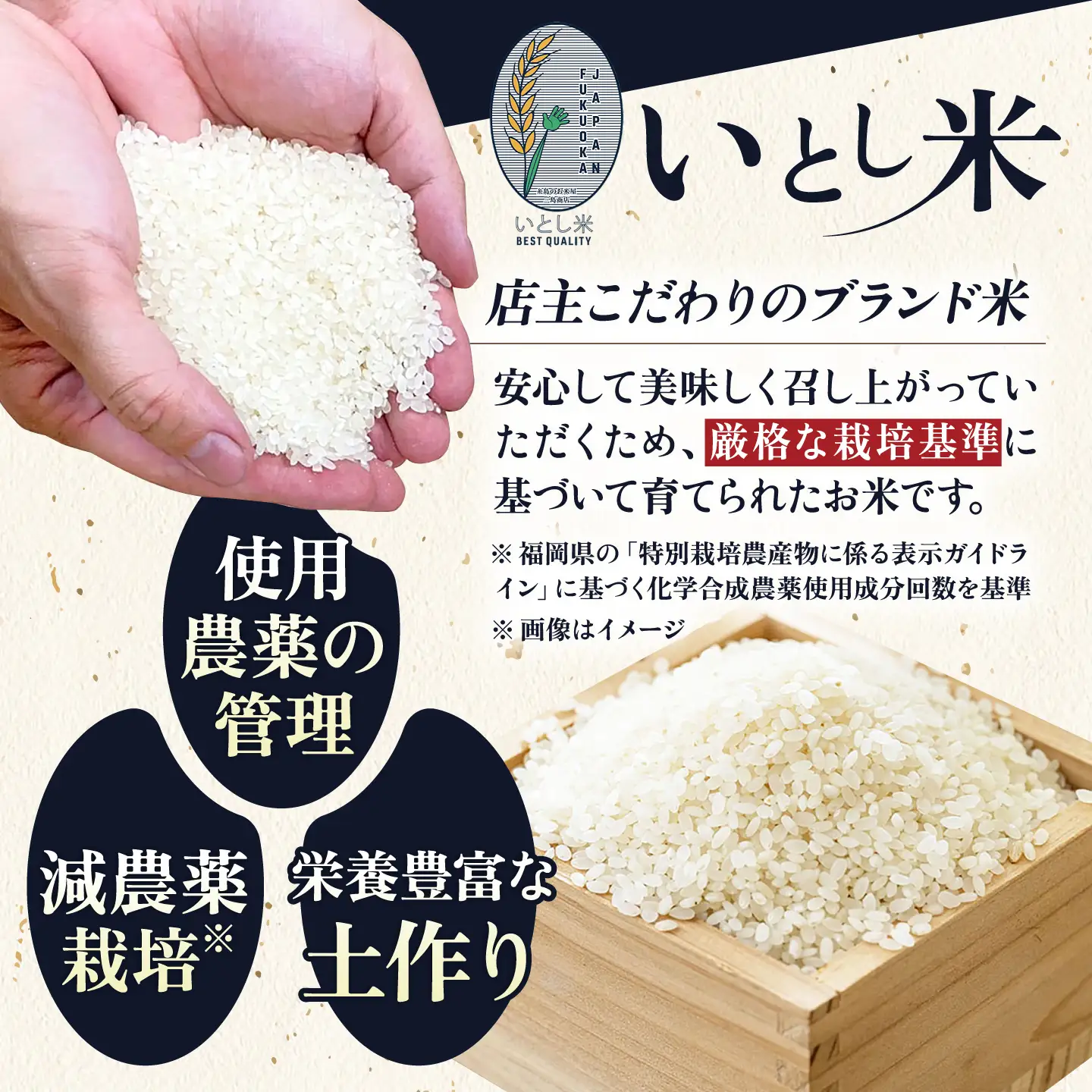 【令和8年産 新米】いとし米 厳選夢つくし 10kg糸島市 / 三島商店 [AIM044] 米 白米