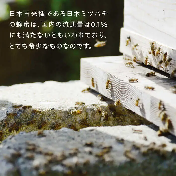 【希少】にほんみつばちの 生 ハチミツ 110g×1本 糸島市 / kibitoa [AIN004]
