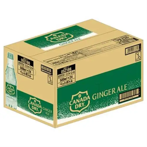 カナダドライジンジャーエール 500mlPET×24本_飲料・ドリンク 炭酸飲料 ジュース _【1456816】