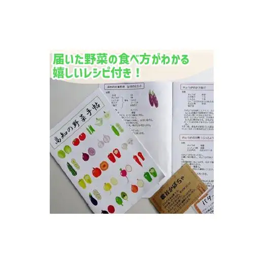 【早期予約】 野菜定期便10ヶ月