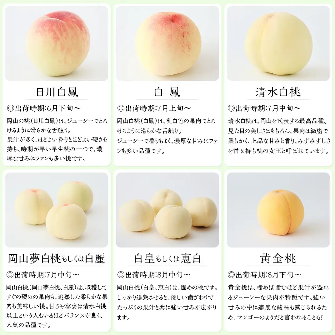 【ご家庭用】岡山白桃 清水白桃 5～7玉【2027年7月中旬頃から順次発送】