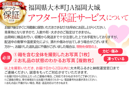 【定期便】博多あまおう 福岡県JAグループのブランドあまおういちご 1080g（約270g×4パック）×2回 ※2026年2月・3月お届け アフター保証 いちご 博多あまおう JAグループ  おすすめ 苺 大木町 JA福岡大城 不揃い フルーツ 果物 AG013