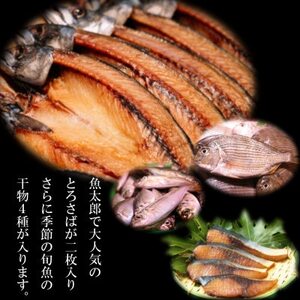 南知多町・美浜町共通返礼品 魚太郎名物 とろさば 入 自家製 ひもの 5種 おまかせセット 魚魚魚