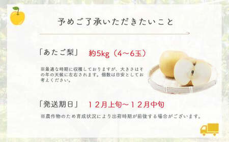 あたご梨 【倉吉産】5kg（JA鳥取中央） 梨