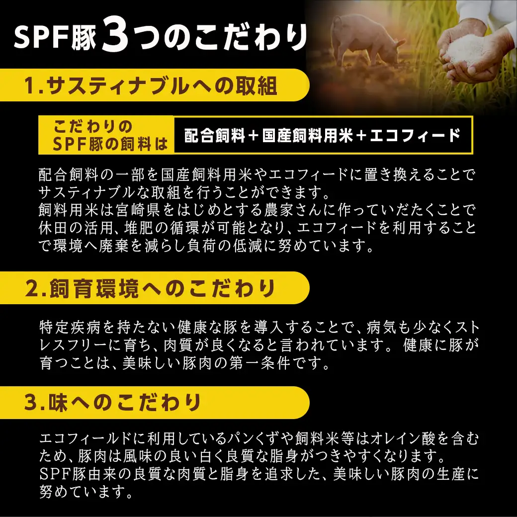 「宮崎SPF豚 」日替わりバラエティ3.2kgセット〔16-K901〕_(都城市) 宮崎県産豚 小間切れ ロース 肩ローススライス バラ ステーキ 焼肉 しゃぶしゃぶ 真空