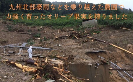 オリーブオイル オリーブ 油 100g×2本 エクストラバージンオリーブオイル オリーブ油 調味料 自家農園産 