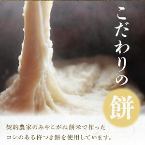 極ずんだ餅　【お菓子・和菓子・もち菓子・茶豆100％・ずんだ餡】