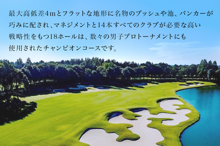 PGM石岡ゴルフクラブ利用券9万円分 ゴルフ 90,000円分 首都圏 近場 関東地方 茨城県 体験 チケット 64-B
