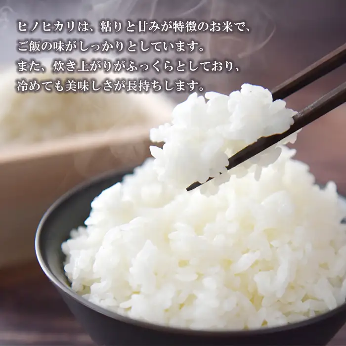 【定期便6ヶ月】名手農園の淡路島産ヒノヒカリ 10kg　白米