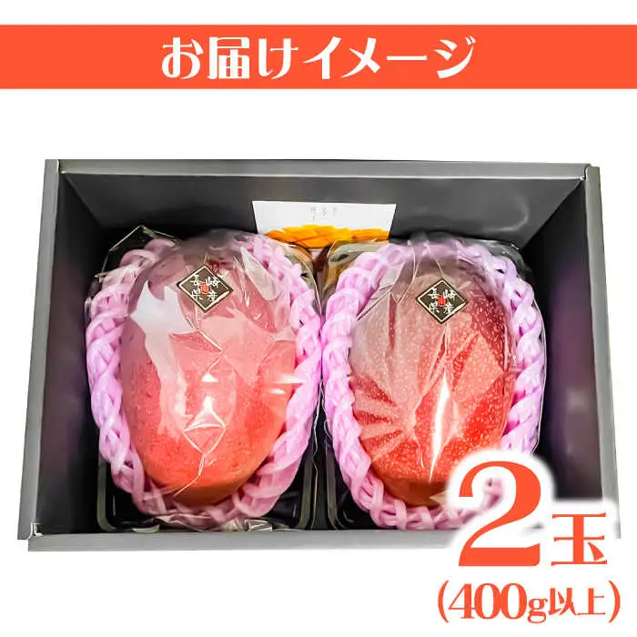 【2027年7月-発送】南島原産完熟マンゴー 2玉 [SCH064] マンゴー