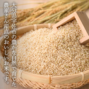 ＜令和7年産＞ひのひかり 玄米(計20kg)お米 20キロ ヒノヒカリ 真空パック 真空包装 【114900600】【祥田産業】