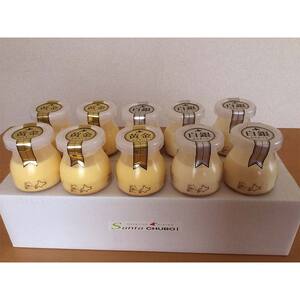 なまらうめえ！焼とろっプリン 10本セット（黄金5本・白銀5本） EB8-0298